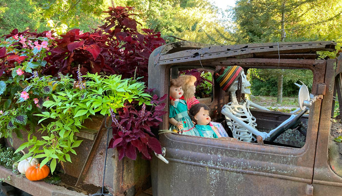 Skeleton and dolls taking a ride in an old truck during Halloween season at Fantastic Umbrella Factory