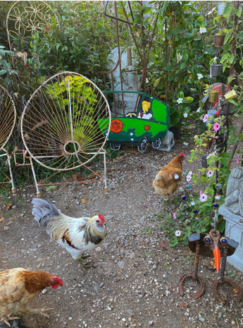 Chickens wandering around The Rustic Garden, Fantastic Umbrella Factory