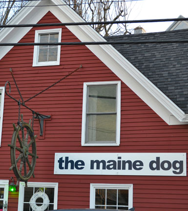 The Maine Dog, Bay View St., Camden, Maine