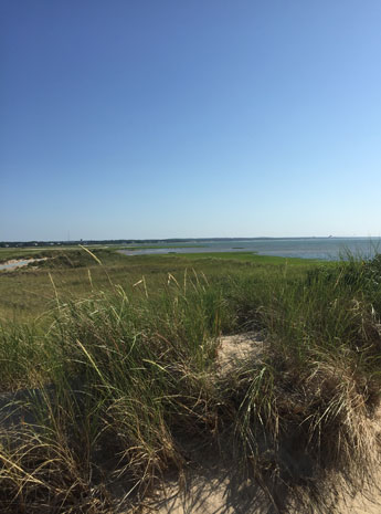 Hatch Beach view of marshes south of First Encounter Beach in Eastham, Cape Cod