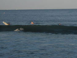 Surfers at Narragansett Town Beach, Narragansett, R.I.