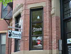 Pawsh Dog Boutique & Salon, Gloucester St. off Newbury St., Boston, Ma.