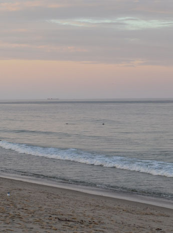 Two seals' heads peeking out above the surf at dusk, Nauset Town Beach, Orleans, Cape Cod