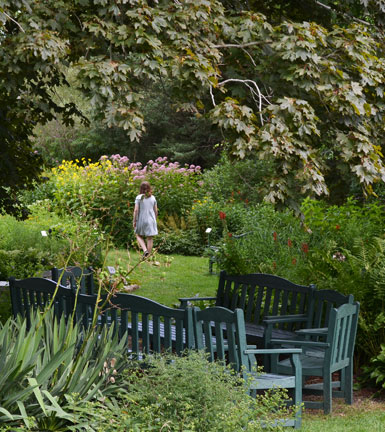 Shirley Cross Wildflower Garden at Green Briar Nature Ctr., Discovery Hill Rd., E. Sandwich