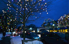 Central St., downtown Wellesley, Mass. during December
